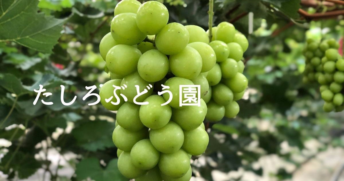 Home Tashiro Grape
