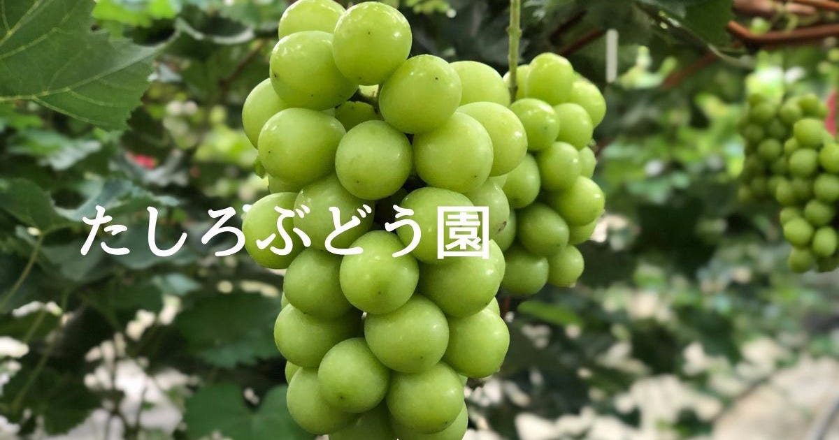 Home Tashiro Grape Home Tashiro Grape