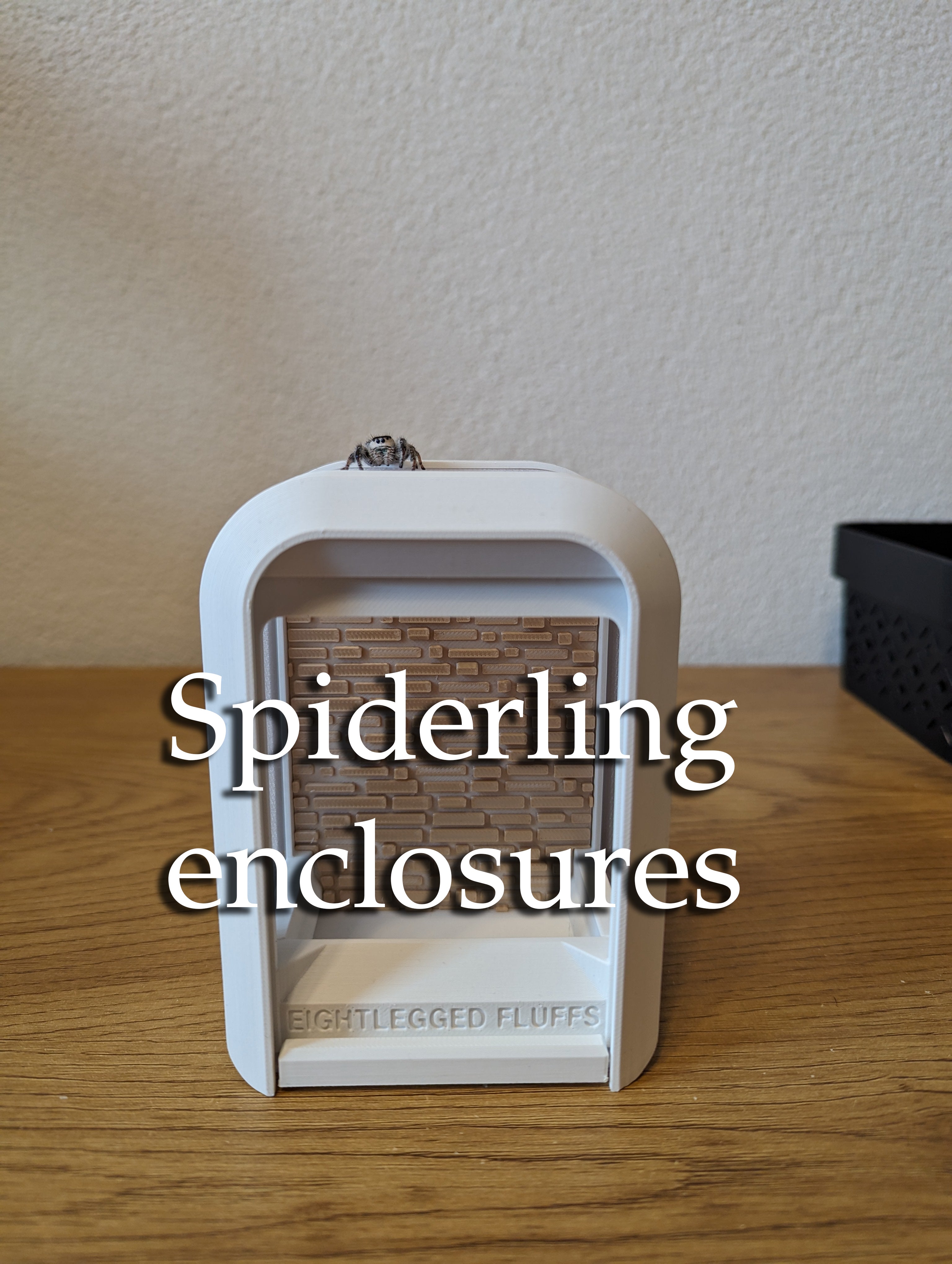 Spiderling mini enclosure arboreal/terrestrial (tarantula/jumpingspider ...