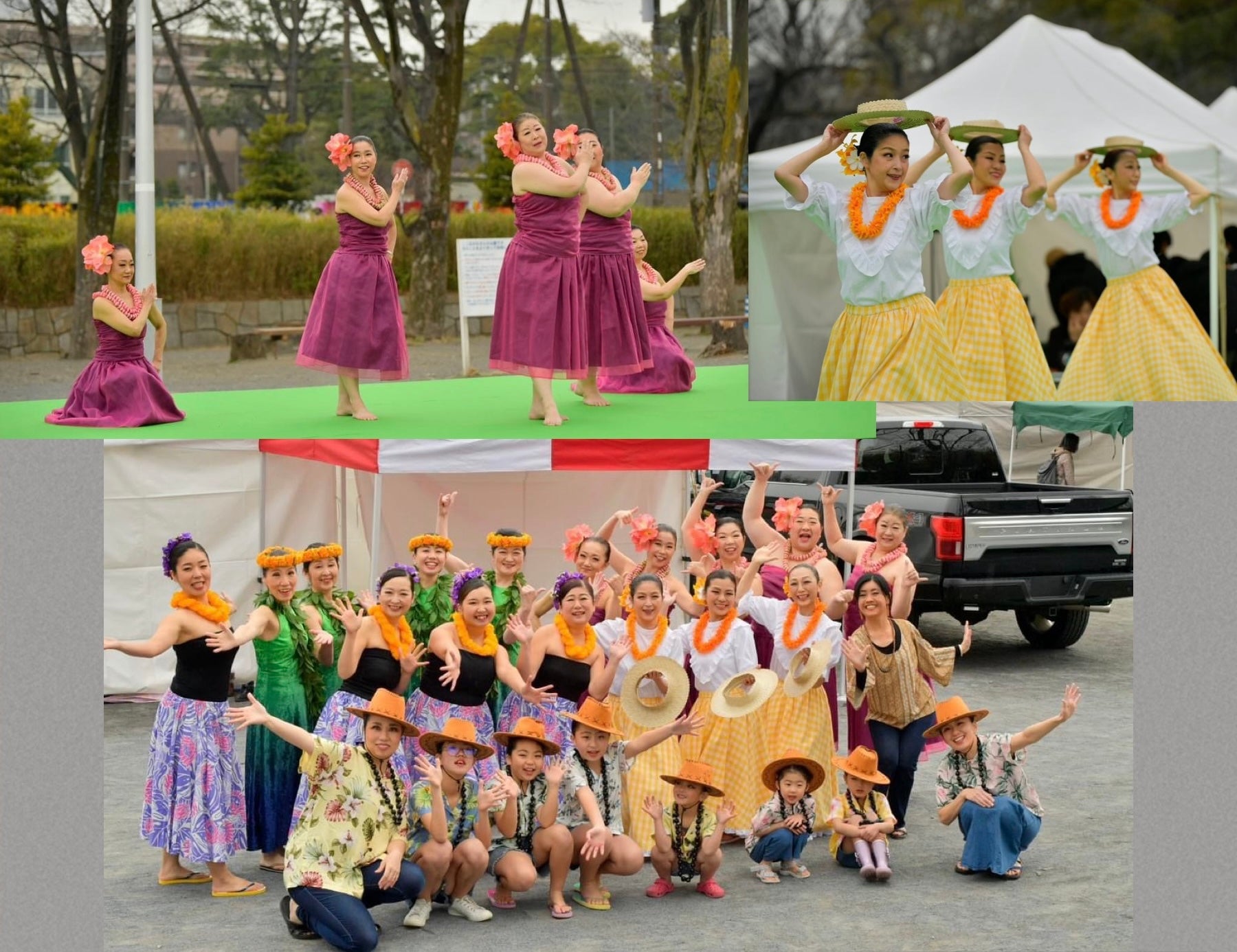 フラダンスとウクレレの教室プメハナ高津溝ノ口。田園都市線、南武線沿線 | Hula Hālau Pumehana（フラハーラウプメハナ）