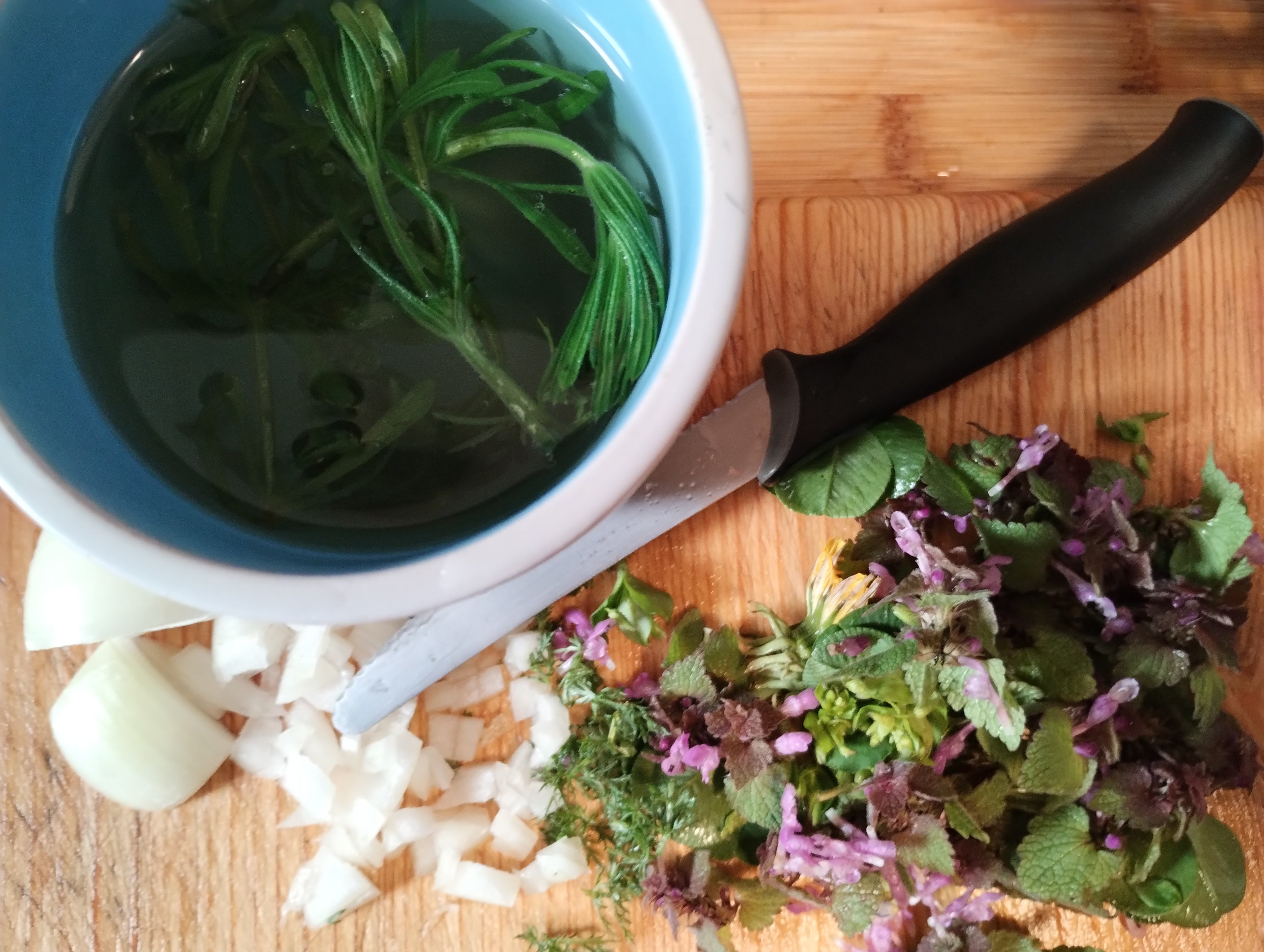 Kochen mit Wildkräutern - Angebote für Erwachsene - Wildkräuter ...