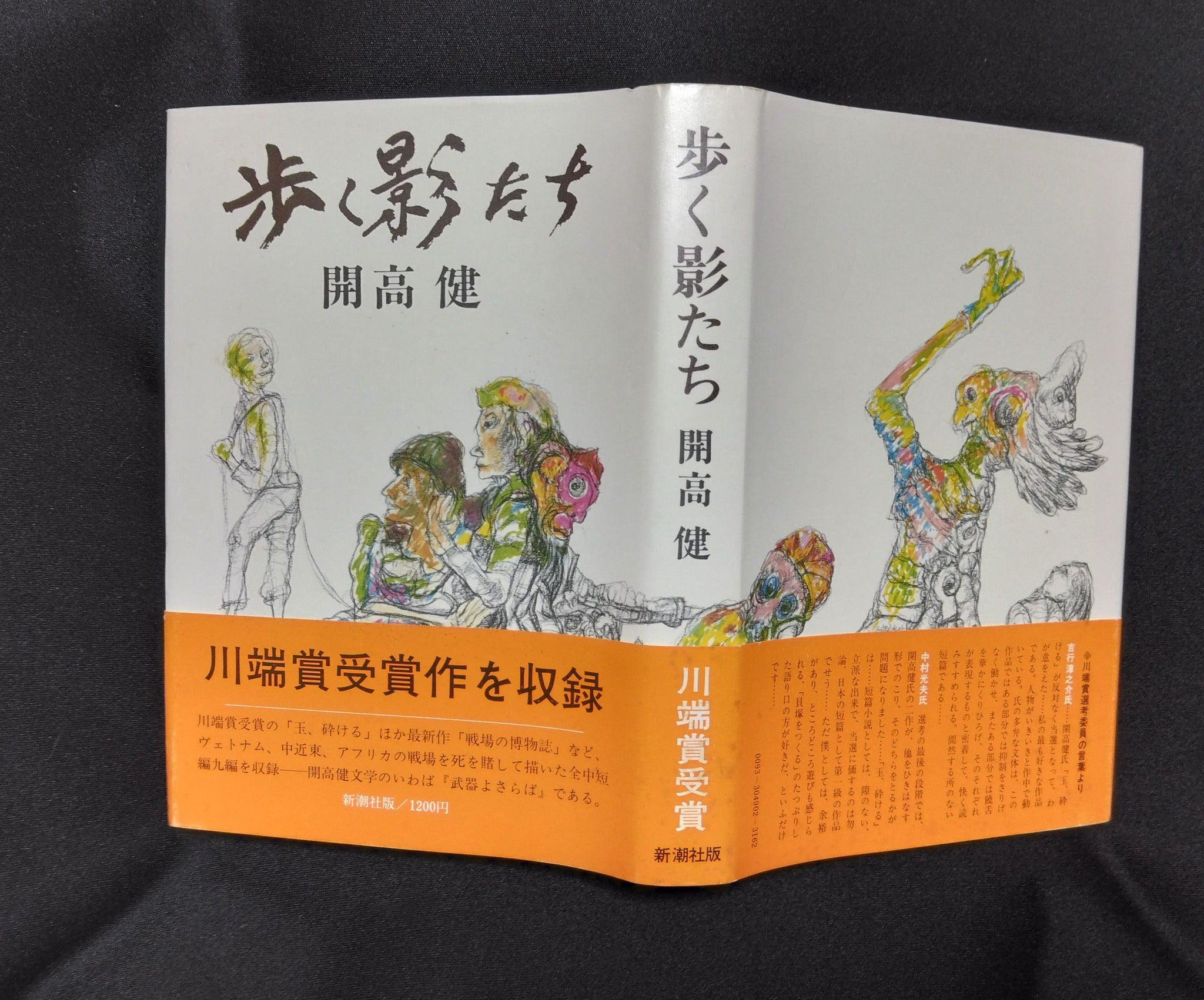Amazon.co.jp: 開高健~河は眠らない~ [DVD] : 趣味, 趣味: DVD