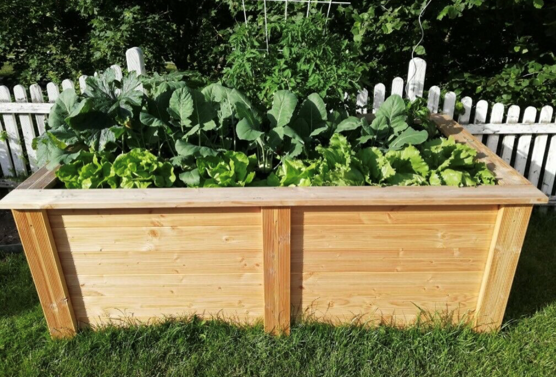 Hochbeet Premium Plus 200x100x76cm Douglasie Produkte Hochbeete aus