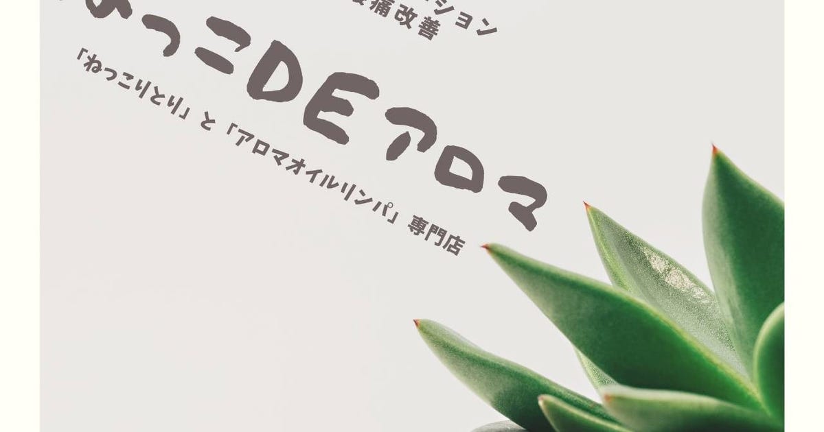 Home Nekko Home Nekko