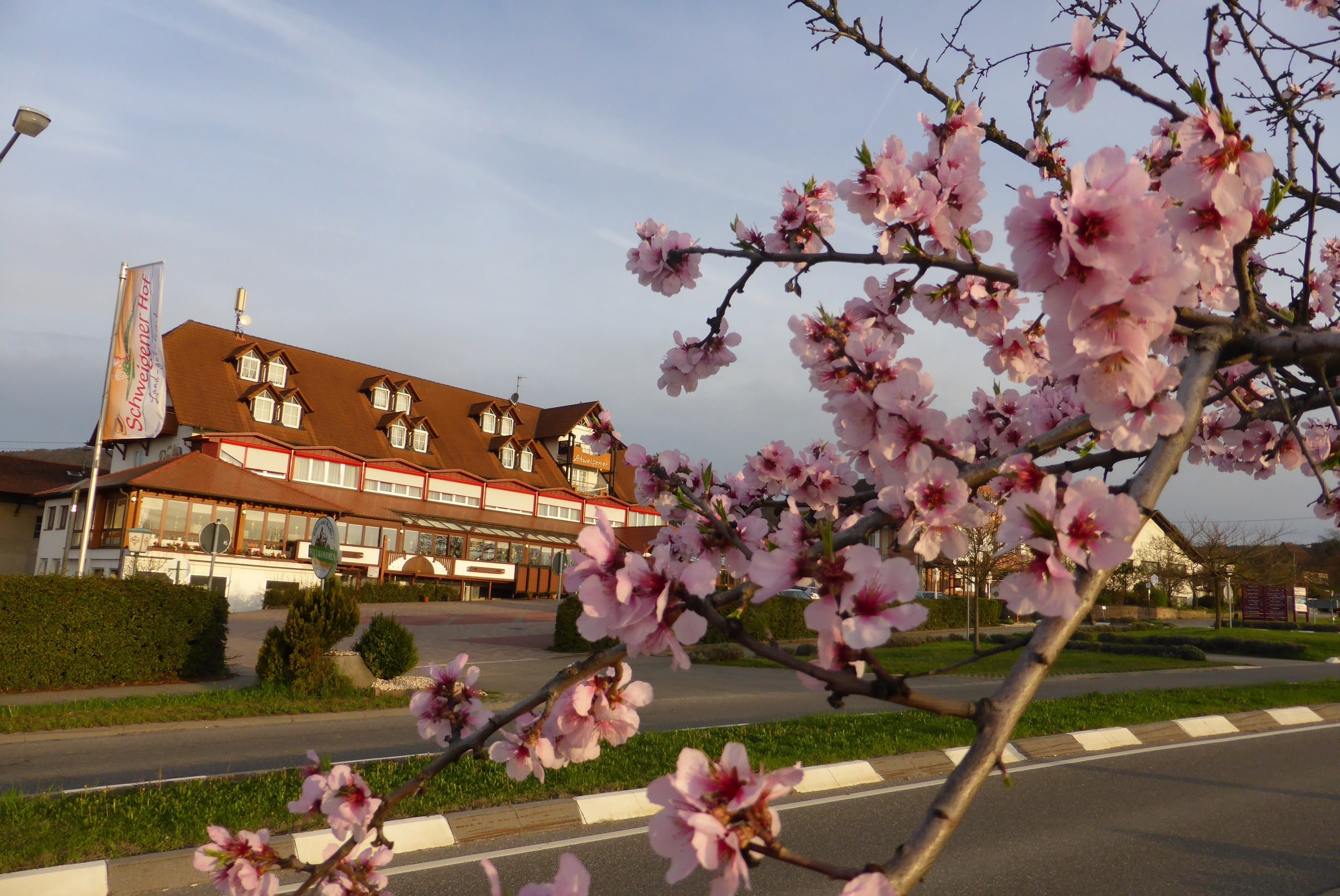 Home | Hotel Schweigener Hof OHG