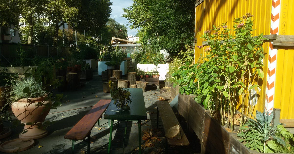 Gemeinnützig Neuer Frankfurter Garten