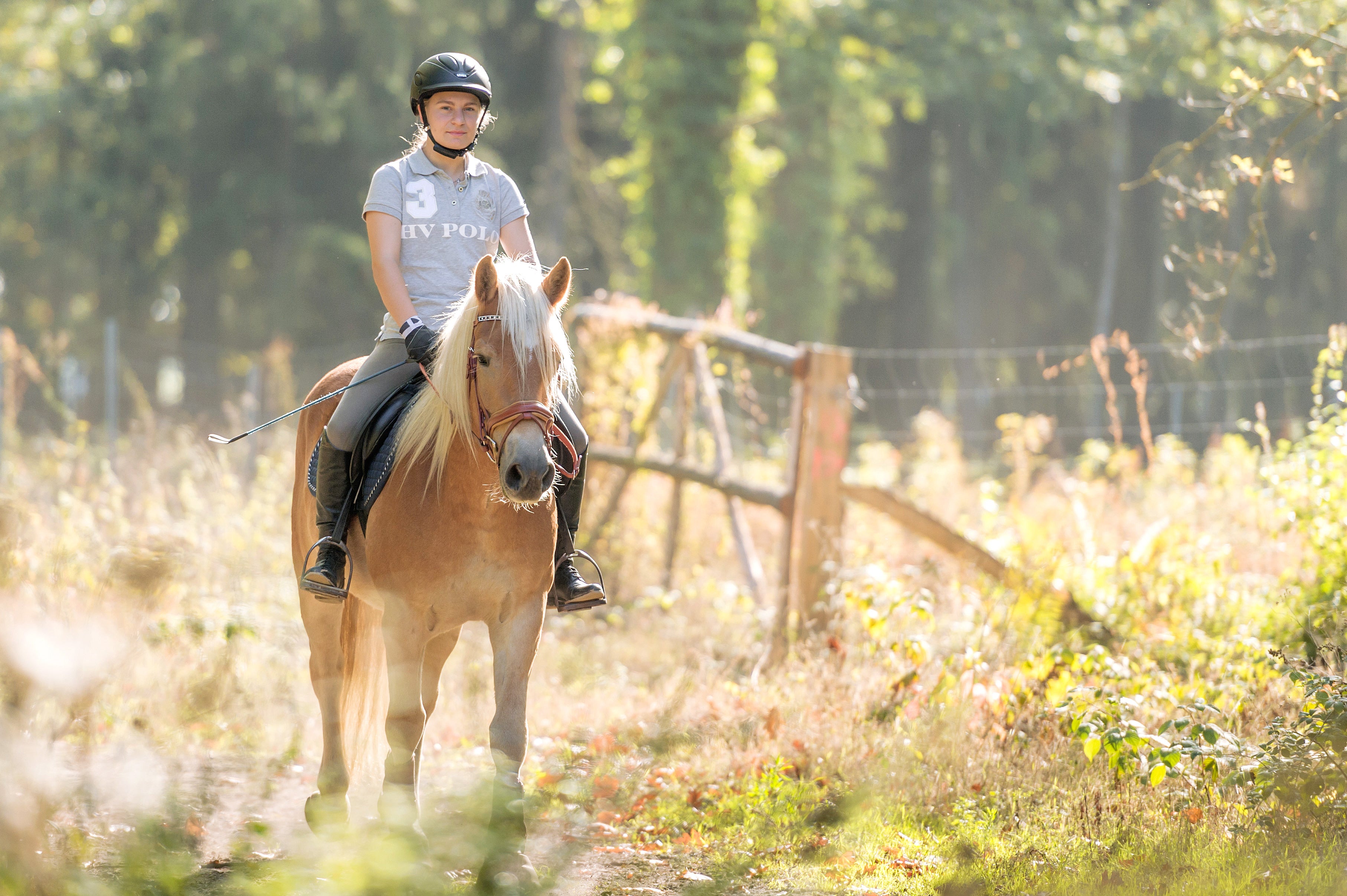 Reitschule | Reitstall Gut Warxbüttel