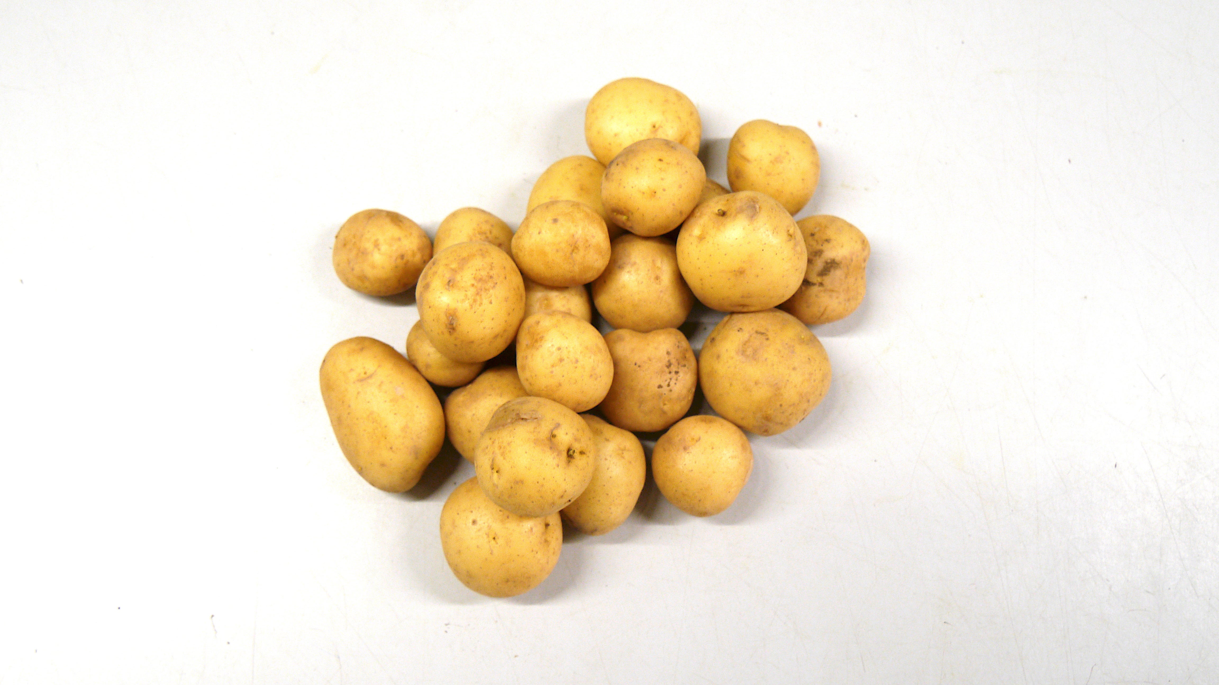Junge Kartoffeln gewaschen - Gemüse - Shop | Keller Früchte/ Gemüse/ Beeren