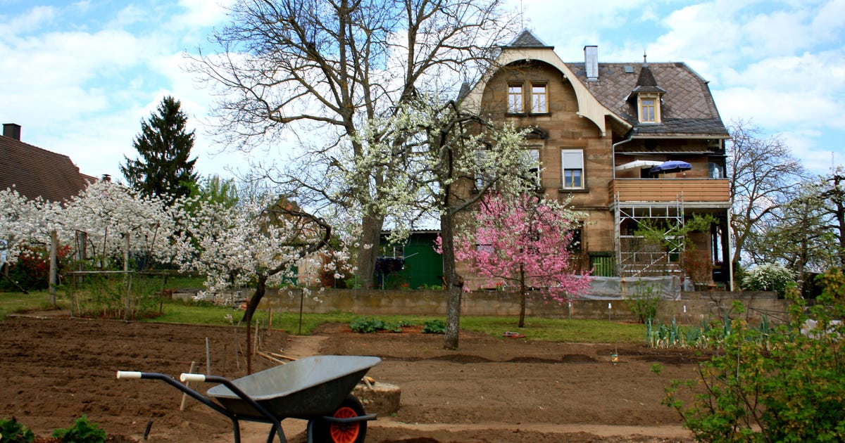 Garten und Landschaftsbau Dienstleistungen